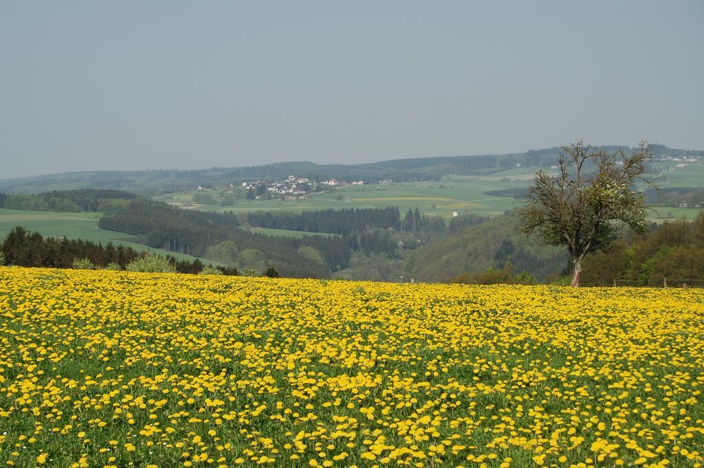 Landgasthaus Pfahl Wershofen Exterior foto